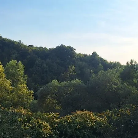 Nature Ilijas